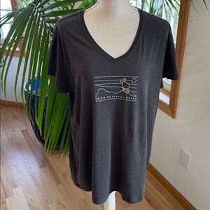 Zion National Park Charcoal Gray Graphic V-Neck Tee